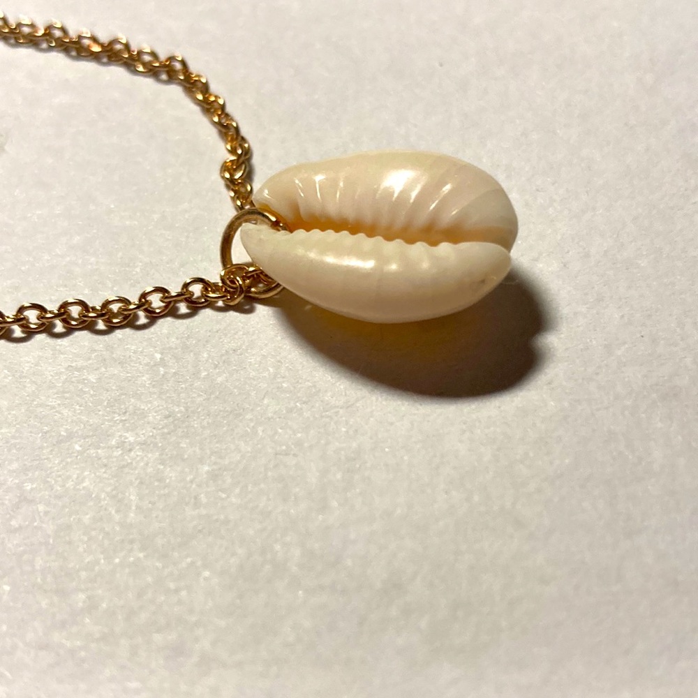 Shell ankle bracelet  with gold tone chain. #2023